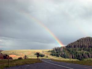 Montana Rainbow